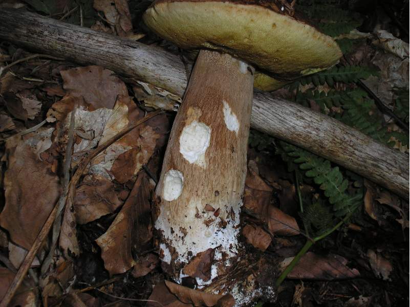 grazie allo sciopero....